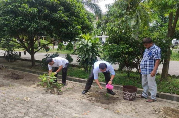 Plantation Programme