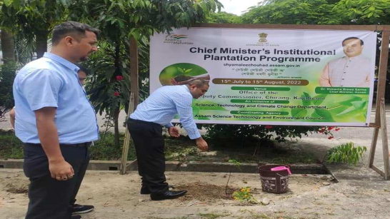 Plantation Programme